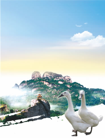 福建連城村居香農業發展有限公司